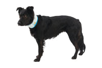 Ruffwear Swamp Cooler™ Cooling Neck Gaiter